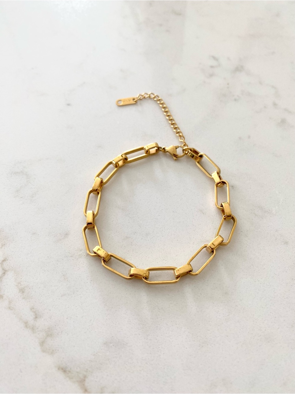 Aritzia Gold Rectangular Link Bracelet